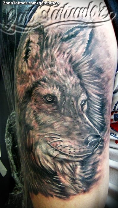 Foto de tatuaje Lobos, Animales