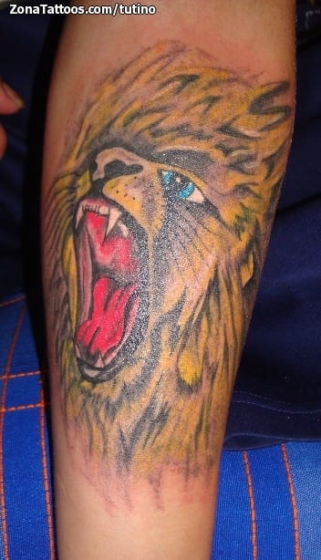 Foto de tatuaje Leones, Animales