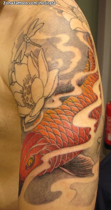 Tattoo photo Koi, Lotus, Dragonflies