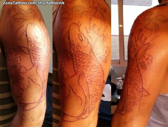 Foto de tatuaje Koi, Peces, Orientales