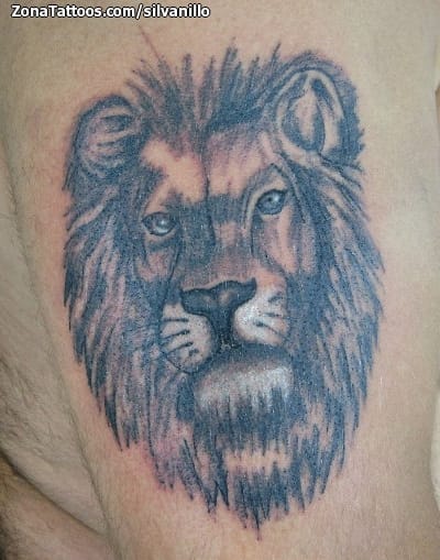 Tattoo photo Lions, Animals