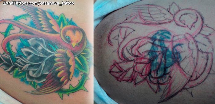 Foto de tatuaje Cover Up, Golondrinas, Aves