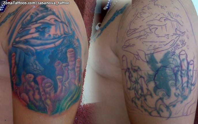 Tattoo photo Cover Up, Dolphins, Animals