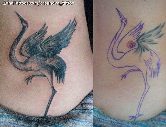 Foto de tatuaje Cover Up, Aves, Animales