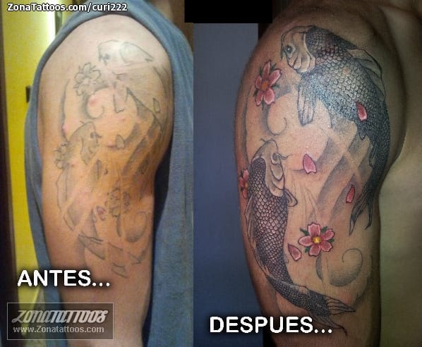 Foto de tatuaje Peces, Orientales, Cover Up