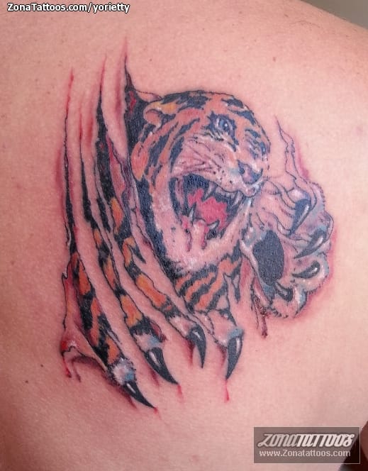 Foto de tatuaje Tigres, Grietas, Animales