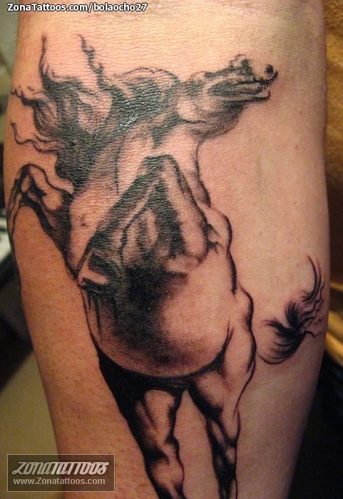 Foto de tatuaje Caballos, Animales