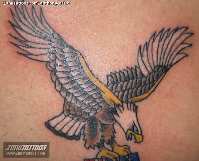 Tattoo of Eagles, Birds, Animals