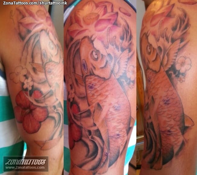 Foto de tatuaje Koi, Peces, Orientales