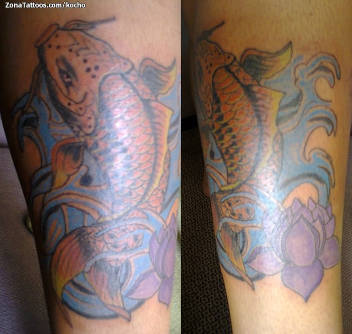 Tattoo photo Asian, Animals, Fish