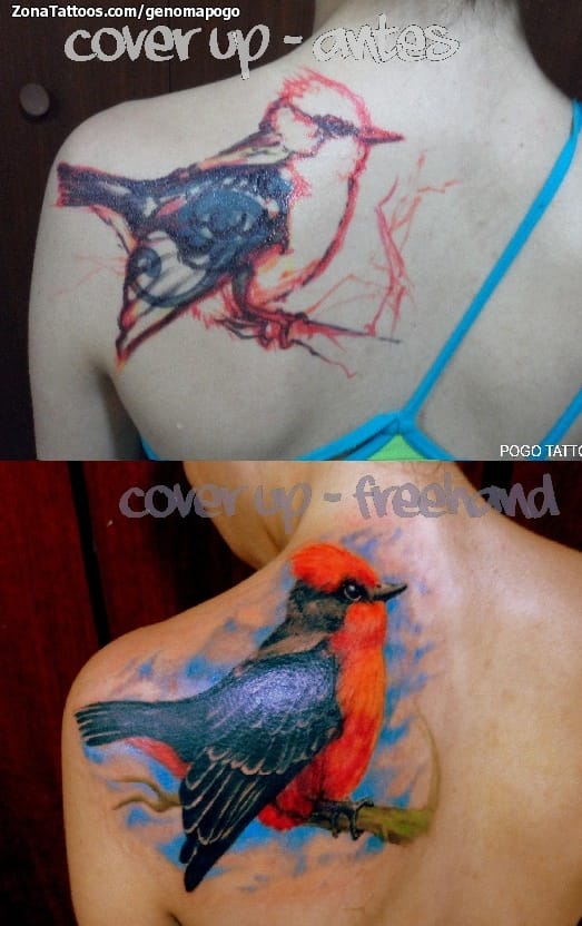 Foto de tatuaje Aves, Animales, Cover Up