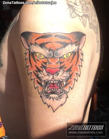 Foto de tatuaje Tigres, Animales