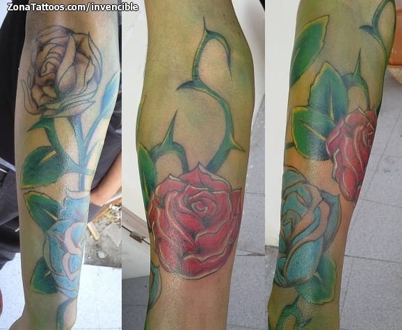 Tattoo photo Roses, Flowers