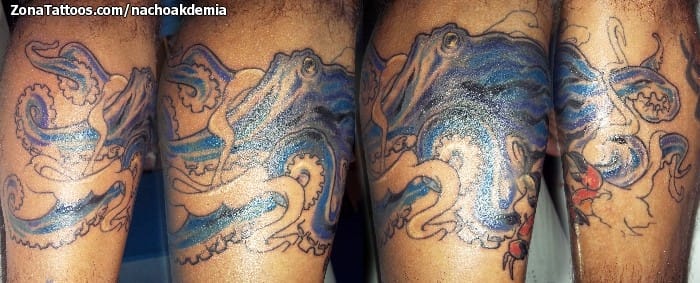 Foto de tatuaje Pulpos, Animales, Cover Up