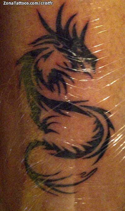 Tattoo photo Dragons, Tribal