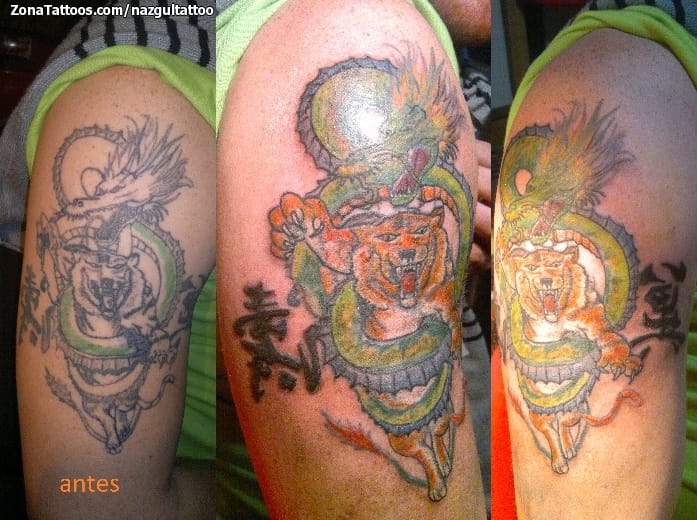 Foto de tatuaje Dragones, Lobos, Cover Up