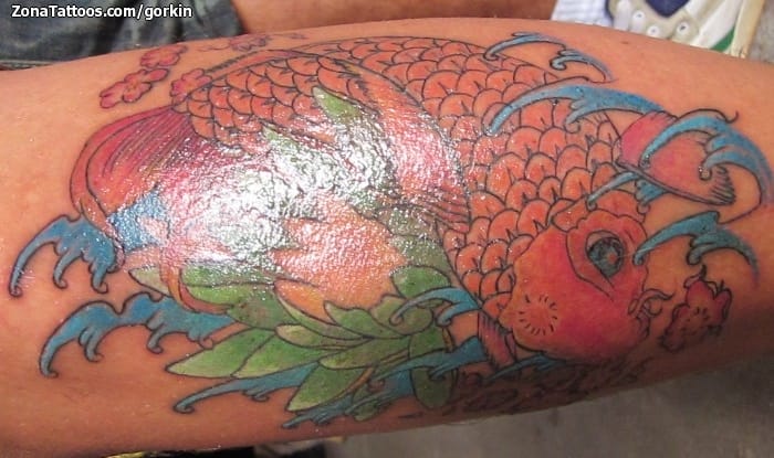 Foto de tatuaje Peces, Koi, Orientales