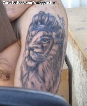 Tattoo photo Lions, Animals, Crowns