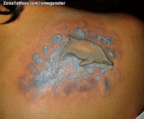 Foto de tatuaje Delfines, Agua, Animales