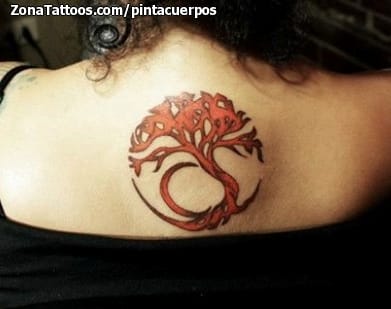 Tattoo photo Celtic, Trees, Crann Bethadh