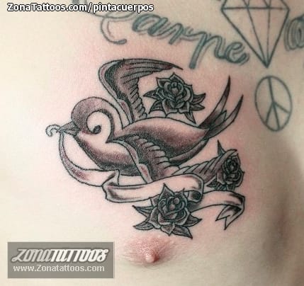 Foto de tatuaje Golondrinas, Aves, Animales