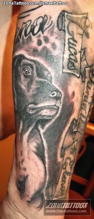 Tattoo photo Dogs, Animals