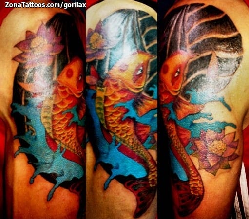 Tattoo photo Koi, Animals, Fish