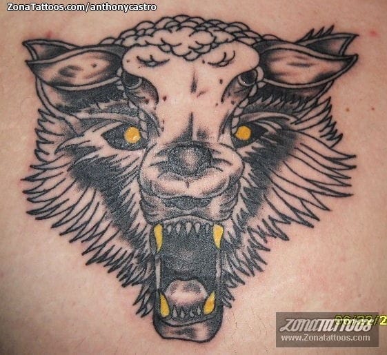 Tattoo photo Wolfs, Sheeps, Fantasy