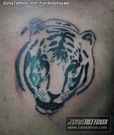 Foto de tatuaje Tigres, Animales