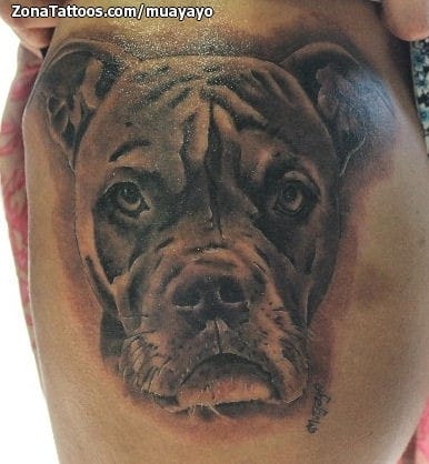 Tattoo photo Dogs, Animals