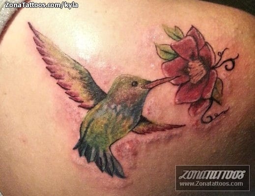 Foto de tatuaje Colibríes, Flores, Aves