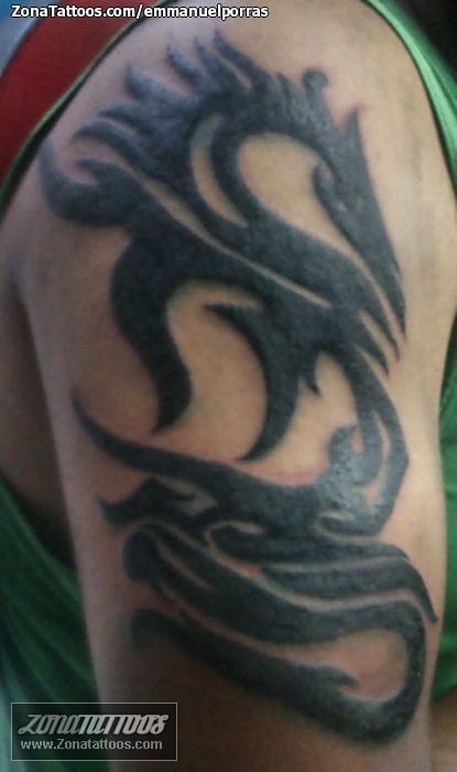 Tattoo photo Arm, Tribal, Dragons