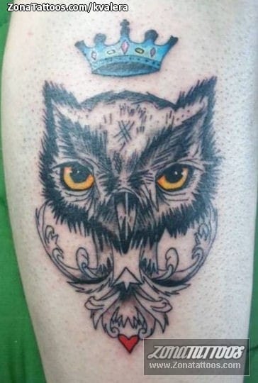 Foto de tatuaje Búhos, Aves, Animales