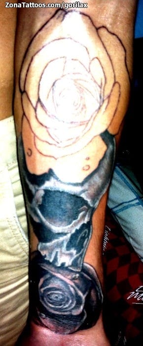 Tattoo photo Roses, Skulls