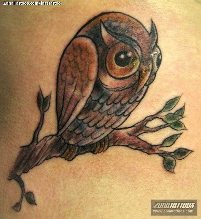 Foto de tatuaje Búhos, Aves, Animales