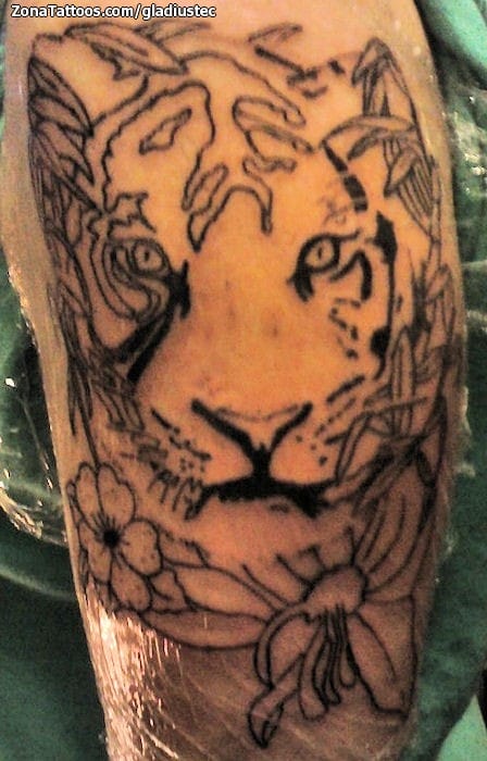 Tattoo photo Animals, Tigers