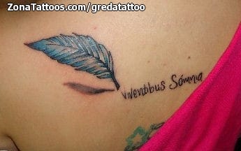 Foto de tatuaje Plumas, Letras