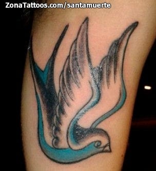 Tattoo photo Birds, Swallows, Animals