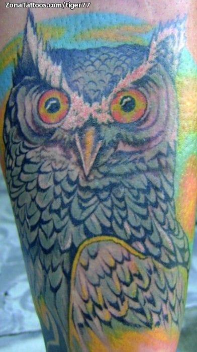 Foto de tatuaje Animales, Búhos, Aves