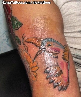 Foto de tatuaje Colibríes, Aves, Animales