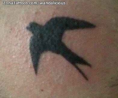 Tattoo photo Animals, Birds, Swallows