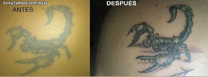 Foto de tatuaje Escorpiones, Insectos