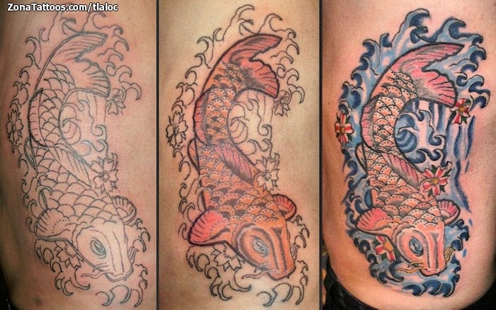 Foto de tatuaje Koi, Peces, Animales