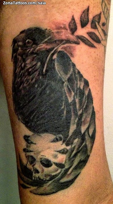 Tattoo photo Animals, Skulls, Birds