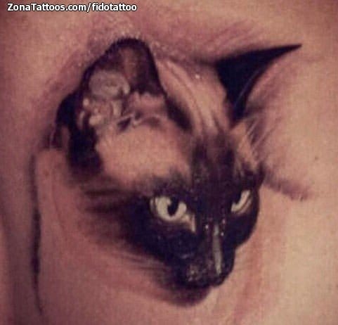 Foto de tatuaje Gatos, Animales