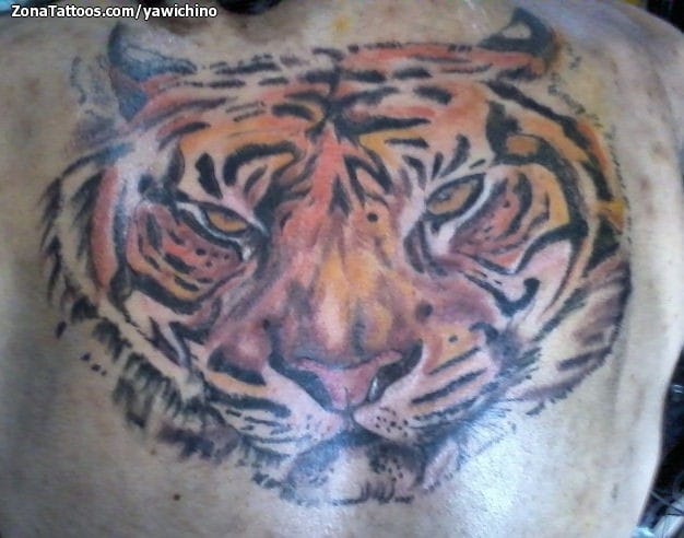 Foto de tatuaje Animales, Tigres