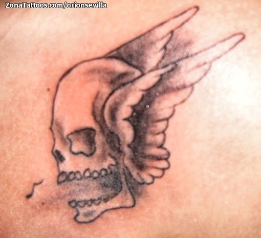 Tattoo photo Wings, Skulls