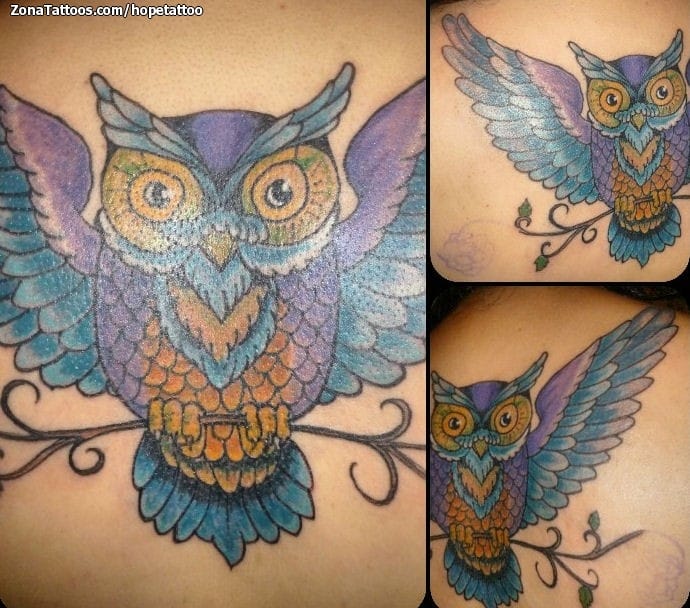 Foto de tatuaje Búhos, Aves