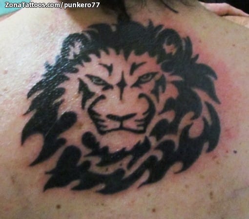 Tattoo photo Animals, Back, Tribal