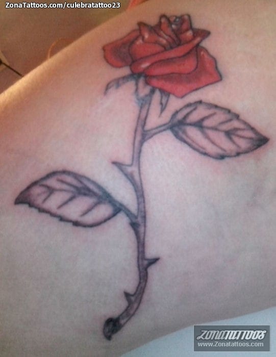 Foto de tatuaje Flores, Rosas